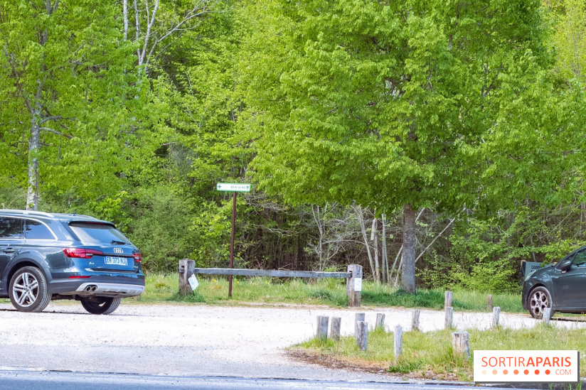 Liaisons douces à Fontainebleau : la forêt à vélo, les photos
