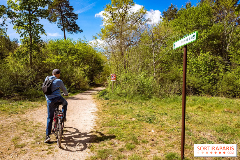 Liaisons douces à Fontainebleau : la forêt à vélo, les photos