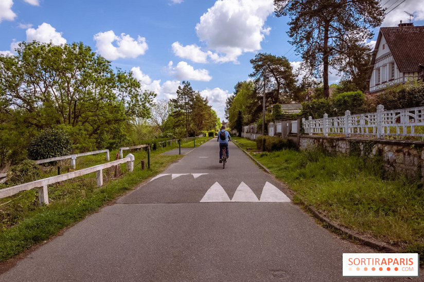Liaisons douces à Fontainebleau : la forêt à vélo, les photos