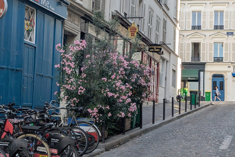 Campagne #37317 - 2 rue des martyrs Montmartre