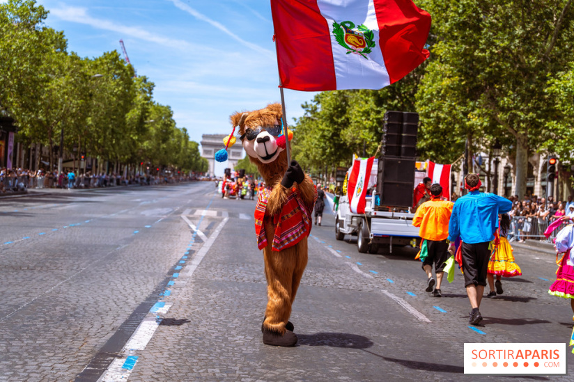 Carnaval Tropical 2026, les photos
