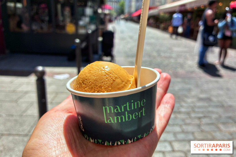 Glaces Martine Lambert