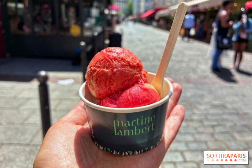 Glaces Martine Lambert - glacier