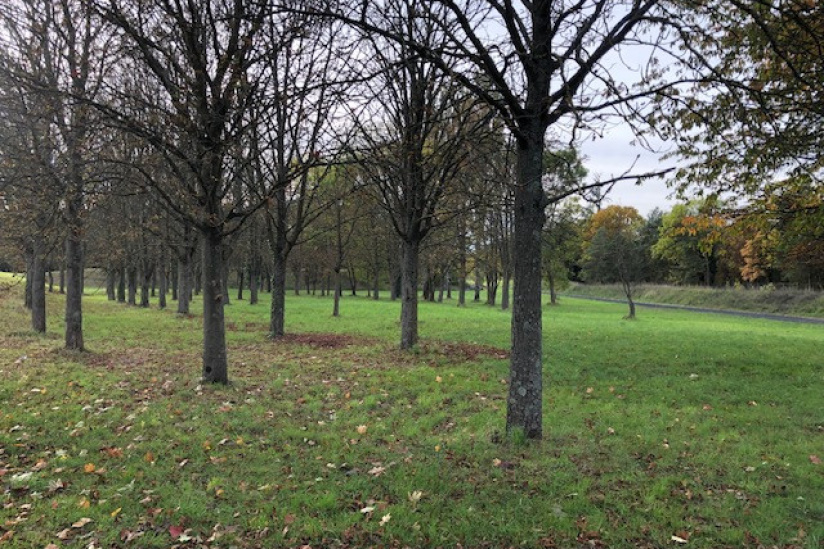 2ème édition du Viti-trail de 10 km du Domaine de Paris Gravelle Dimanche 6 septembre 2026