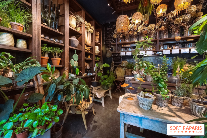 Mégie, la cantine botanique, boutique et atelier floral - photos