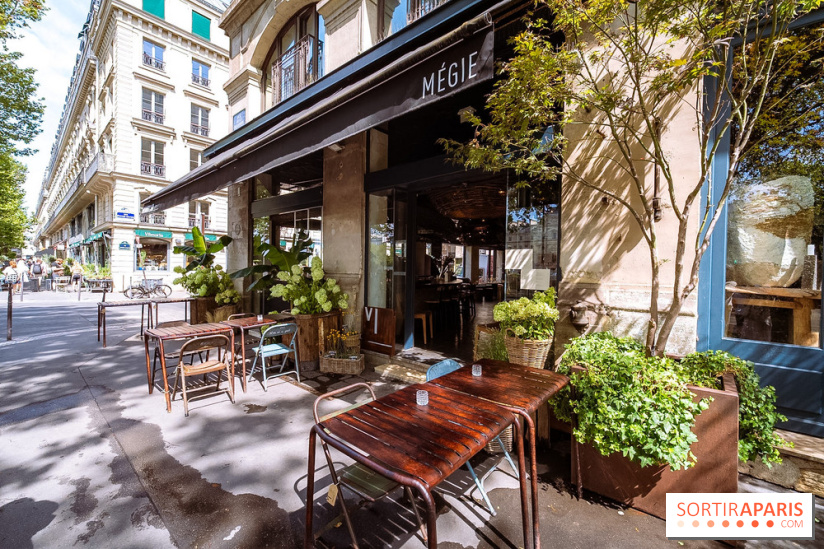 Mégie, la cantine botanique, boutique et atelier floral - photos