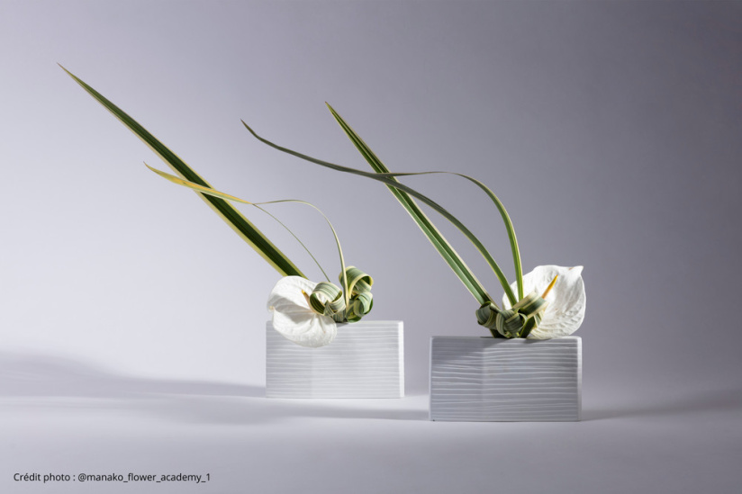 L’art floral japonais à l’honneur : plongez dans la poésie végétale au cœur de Paris !