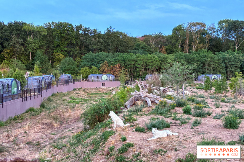 Azimut, le restaurant du Zoo de Thoiry