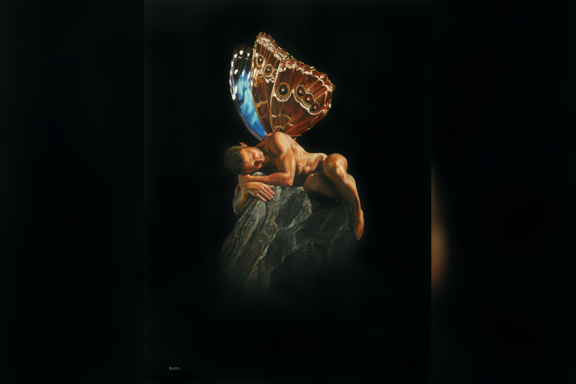 Campagne #37521 - SAILEV Morphoscuro 4MB