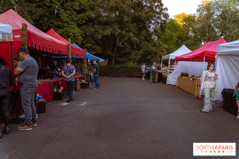 Gargenville : la Fête Médiévale viking au château de Rangiport 2026, les photos