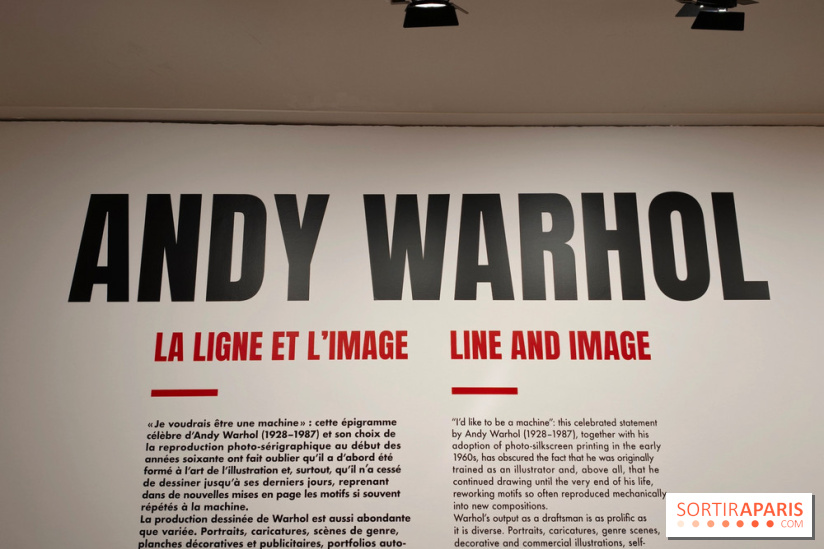 La ligne Warhol : l'exposition sur les œuvres oubliées d'Andy Warhol au musée du Luxembourg