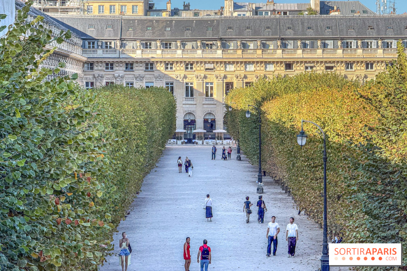Visuels Conseil Constitutionnel