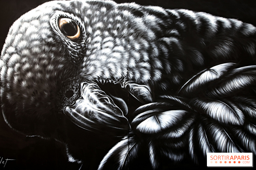 Festival de street art d'Antony 2026, nos photos