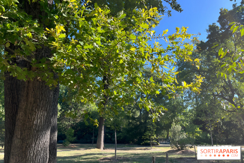 Le Jardin du Pré Catelan, un jardin dans le bois de Boulogne