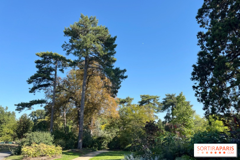 Le Jardin du Pré Catelan, un jardin dans le bois de Boulogne