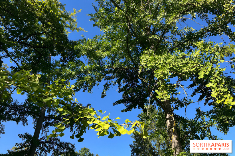 Le Jardin du Pré Catelan, un jardin dans le bois de Boulogne