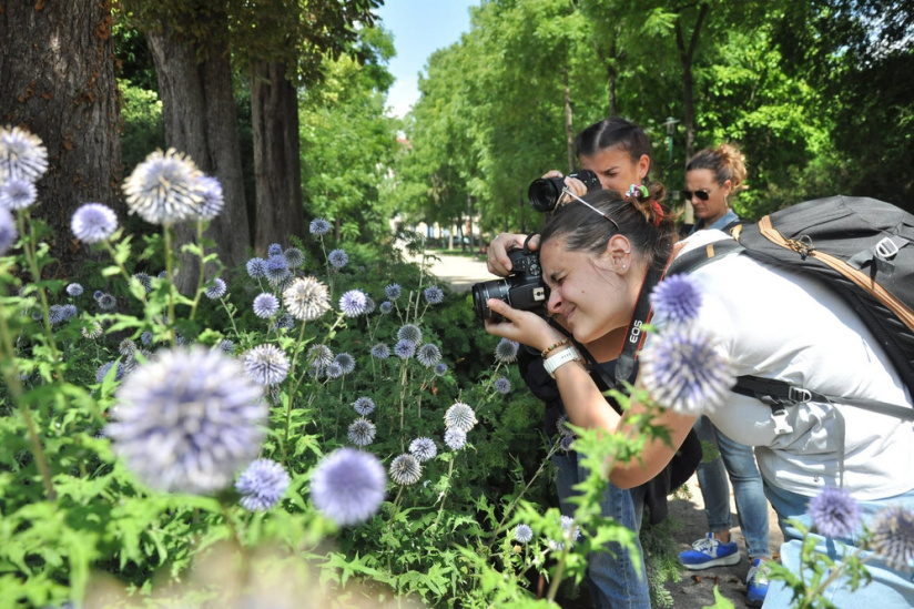 PhotoProf : Apprenez à sublimer vos images avec des cours et stages photo à Paris, du smartphone à l'hybride
