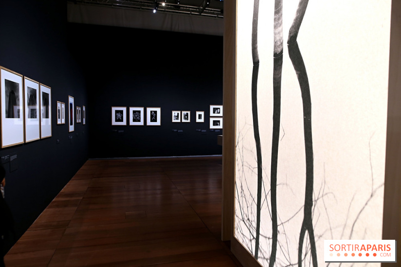 Photographies japonaises de la BnF - nos photos de l'exposition
