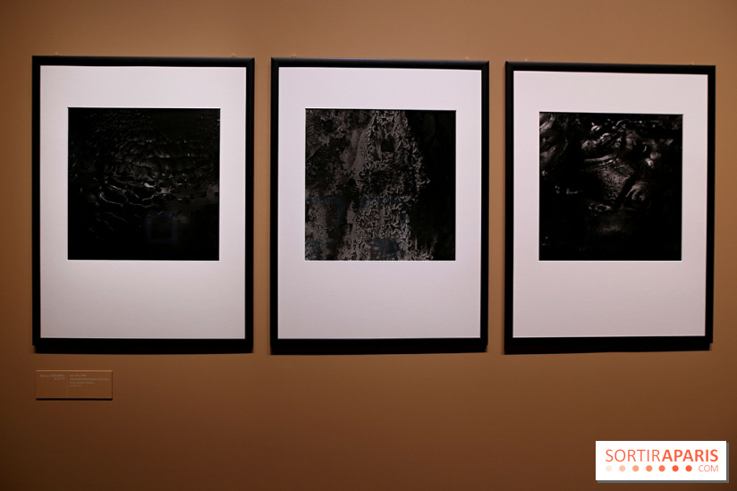 Photographies japonaises de la BnF - nos photos de l'exposition