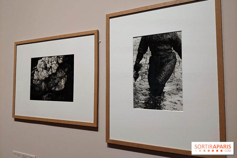 Photographies japonaises de la BnF - nos photos de l'exposition