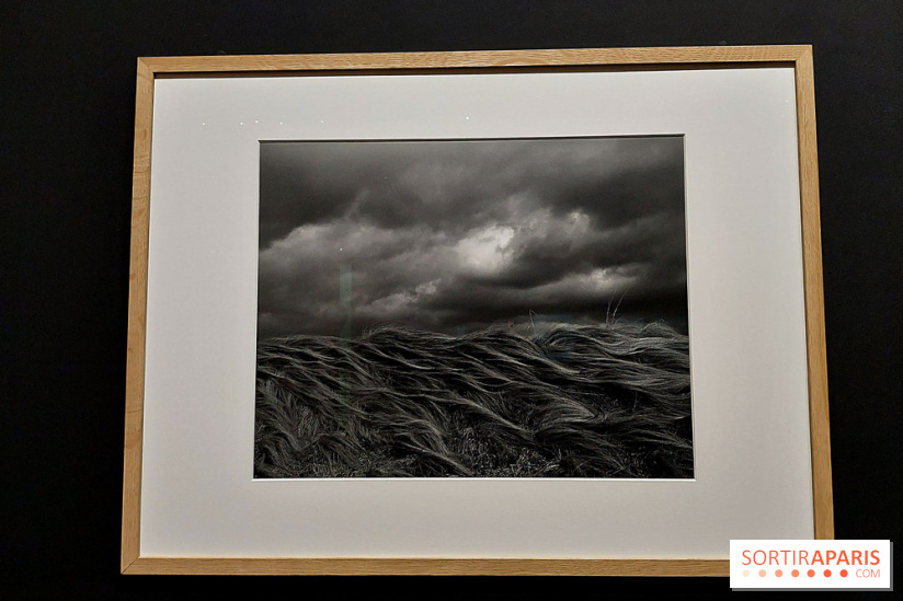 Photographies japonaises de la BnF - nos photos de l'exposition