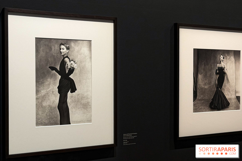 Irving Penn