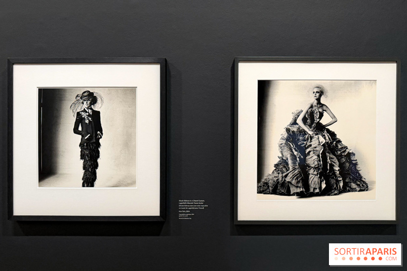 Irving Penn