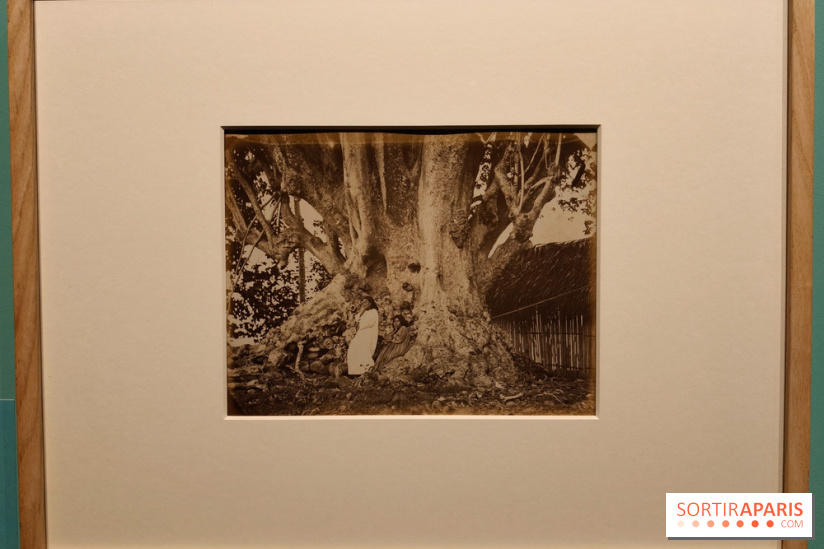 Voir Tahiti : une exposition qui dévoile les premières photos du XIXe siècle au musée du Quai Branly