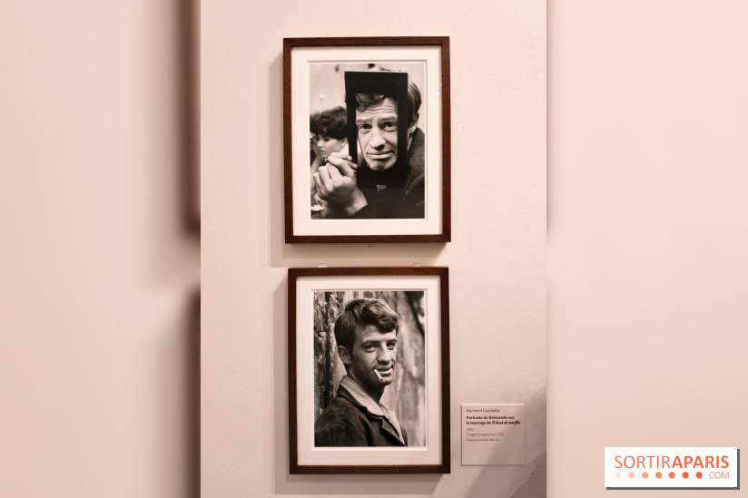 Belmondo le magnifique : l'icône du cinéma français au cœur d'une exposition à la Cinémathèque
