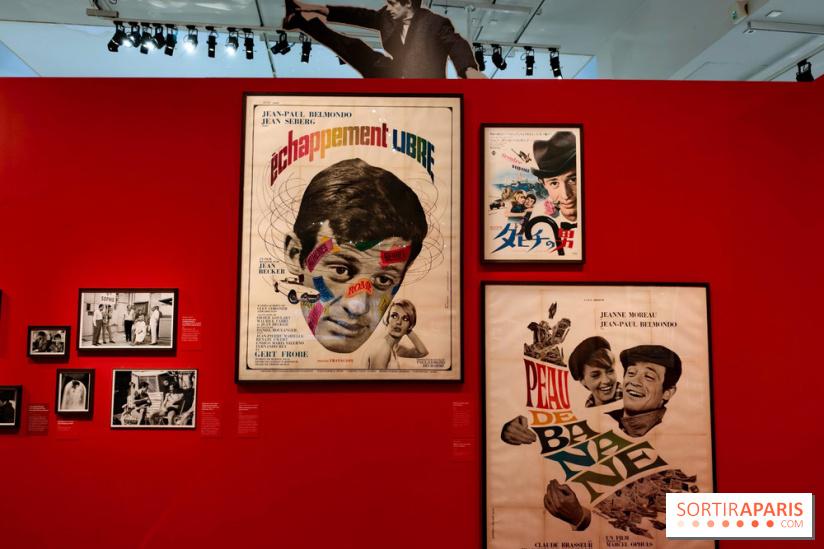 Belmondo le magnifique : l'icône du cinéma français au cœur d'une exposition à la Cinémathèque