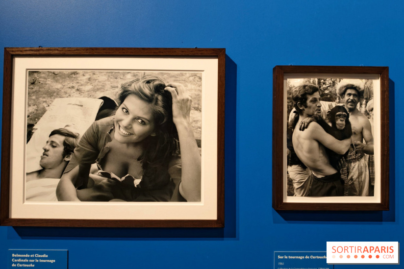 Belmondo le magnifique : l'icône du cinéma français au cœur d'une exposition à la Cinémathèque