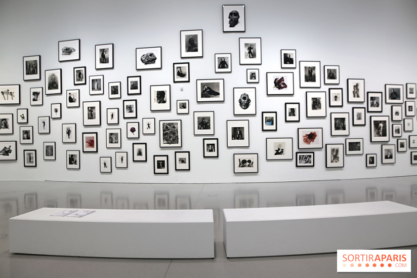 Remember Me : nos photos de l'exposition à la Bourse de Commerce