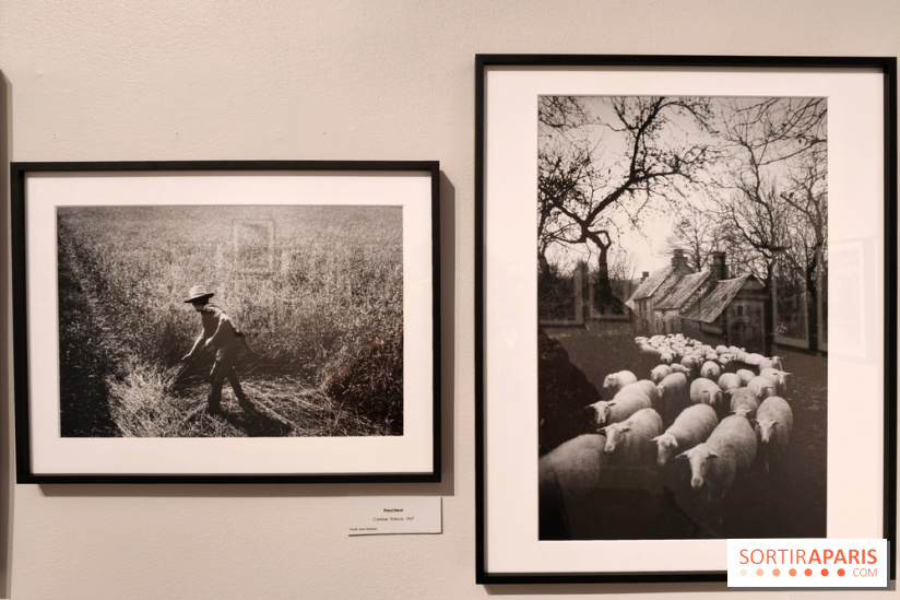Jean Marquis, arpenteur du quotidien : l'exposition de photos gratuite à la galerie Roger Viollet