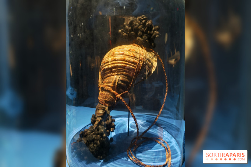 L'appel des profondeurs : partez en exploration avec l'exposition du Musée national de la Marine