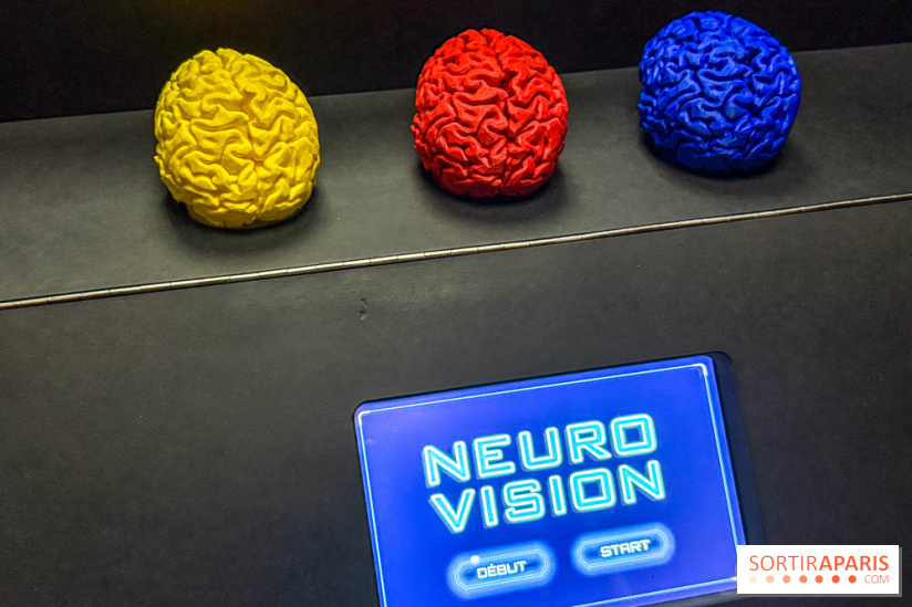 Magie à la Cité des sciences, l'expo qui explique pourquoi on se fait avoir