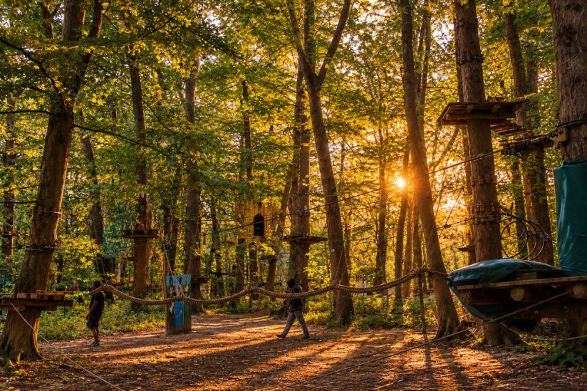 Halloween 2026 : la Forêt de la Terreur à Sherwood Parc, le plus grand parc d’aventures de France
