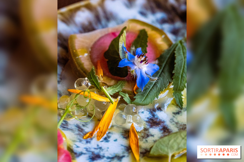 L'Ermitage Saint-Antoine, le charmant restaurant gastronomique à Barbizon