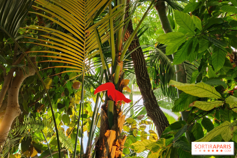 Automne tropical 2026