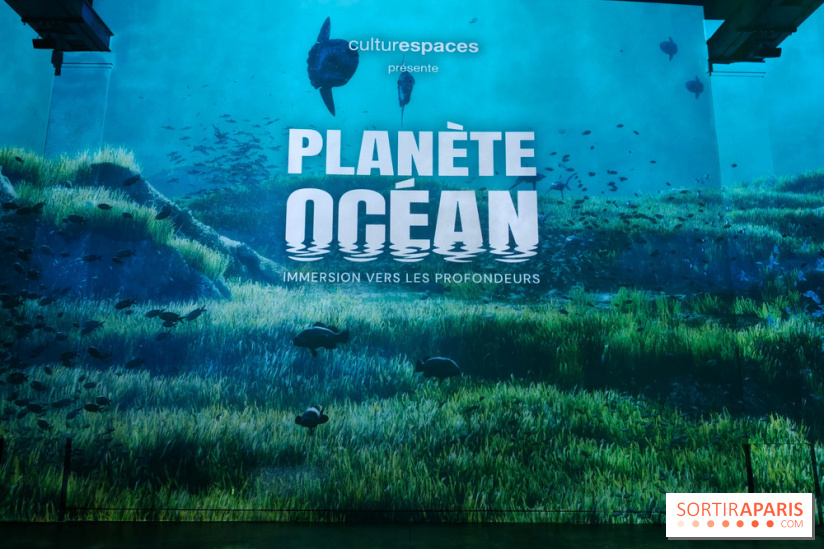 Plongez à la découverte de Planète Océan, l’exposition immersive de l’Atelier des Lumières