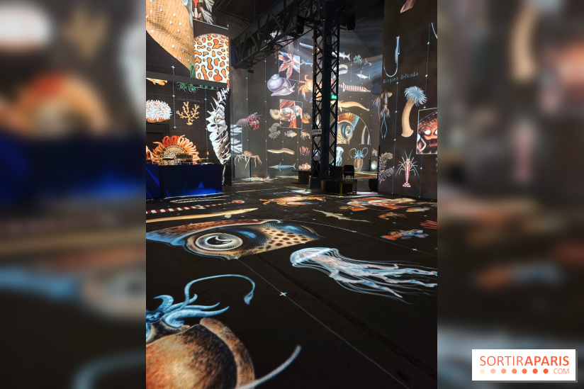 Plongez à la découverte de Planète Océan, l’exposition immersive de l’Atelier des Lumières