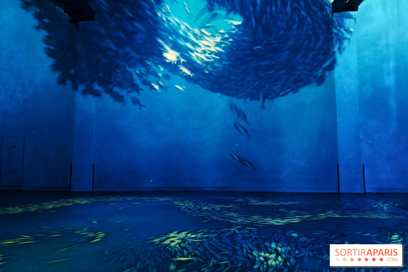 Plongez à la découverte de Planète Océan, l’exposition immersive de l’Atelier des Lumières