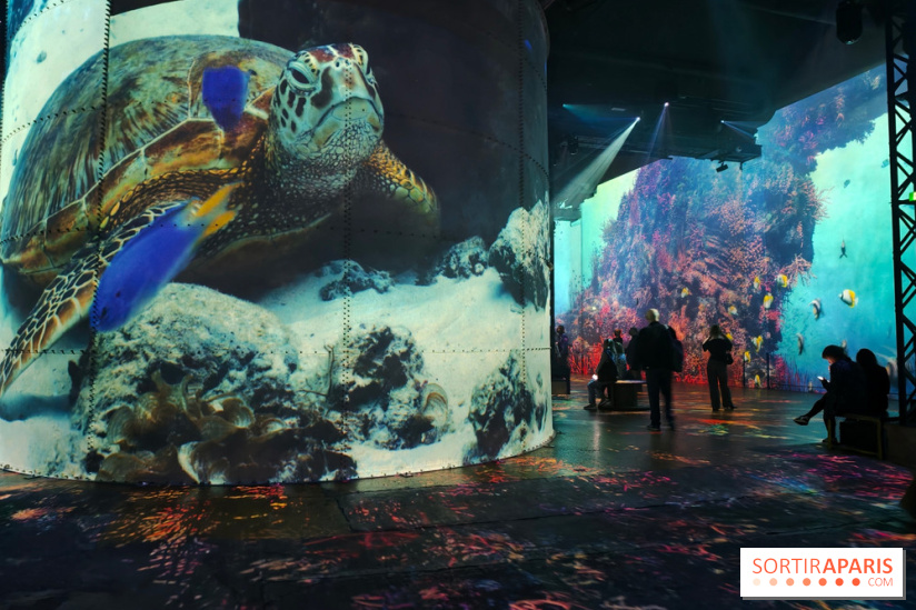 Plongez à la découverte de Planète Océan, l’exposition immersive de l’Atelier des Lumières