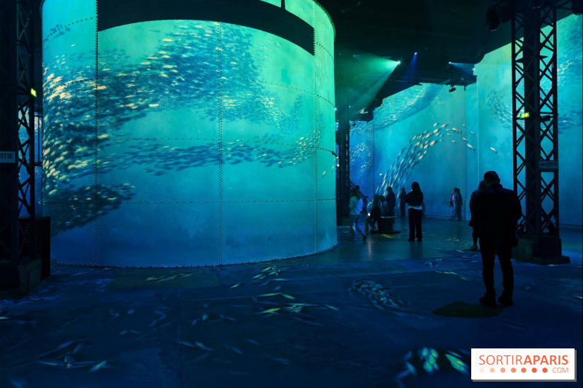Plongez à la découverte de Planète Océan, l’exposition immersive de l’Atelier des Lumières