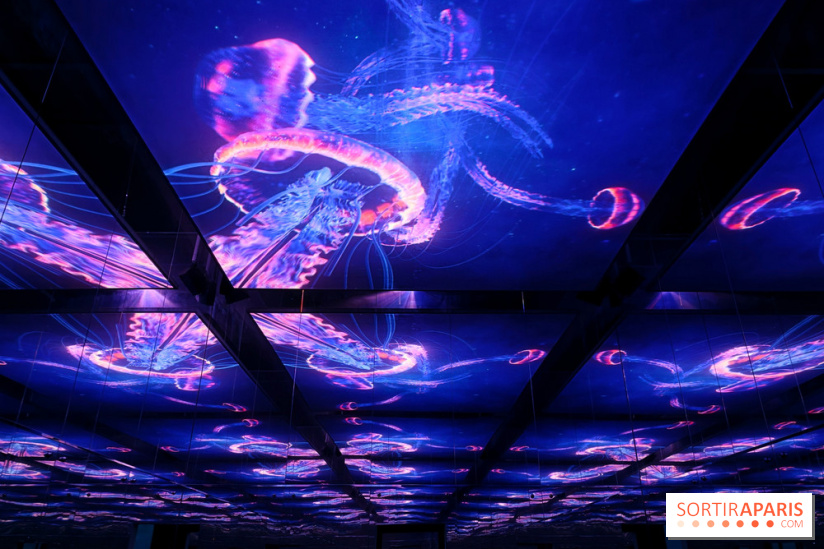 Plongez à la découverte de Planète Océan, l’exposition immersive de l’Atelier des Lumières