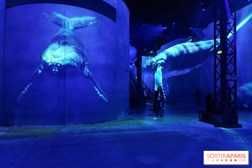 Plongez à la découverte de Planète Océan, l’exposition immersive de l’Atelier des Lumières