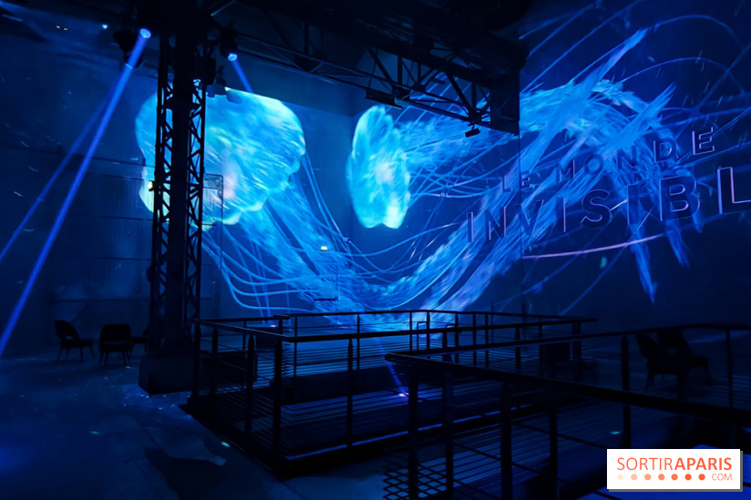 Plongez à la découverte de Planète Océan, l’exposition immersive de l’Atelier des Lumières