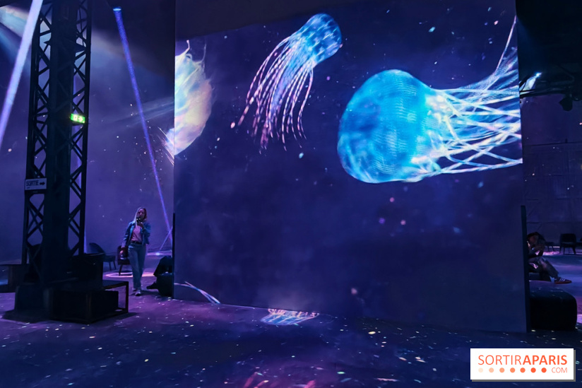 Plongez à la découverte de Planète Océan, l’exposition immersive de l’Atelier des Lumières