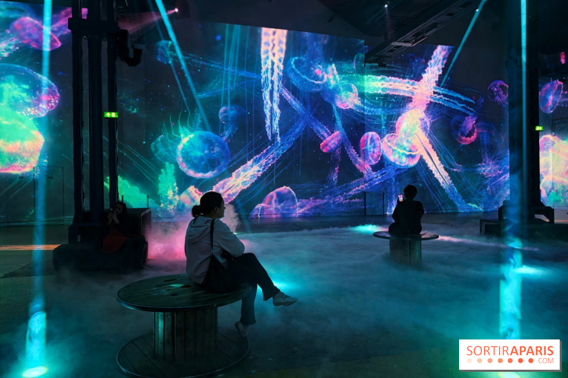 Plongez à la découverte de Planète Océan, l’exposition immersive de l’Atelier des Lumières