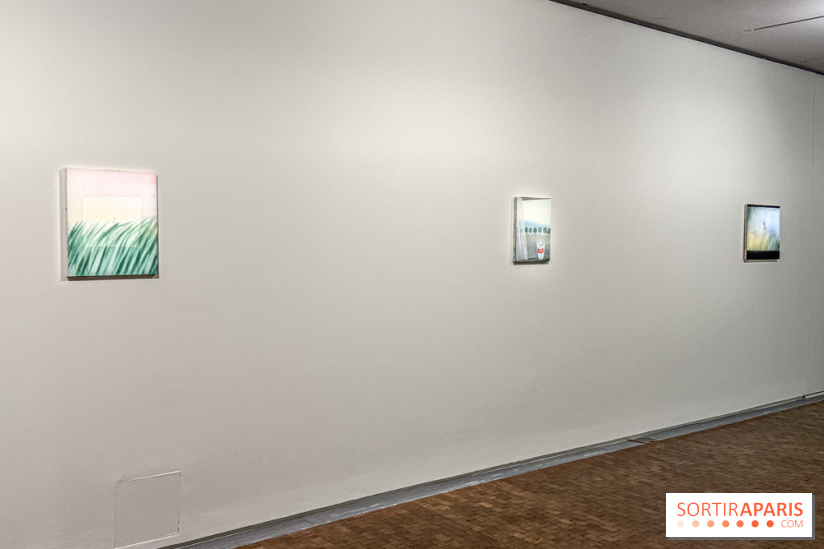Yu Nishimura : l’exposition Towards the Sea à Lafayette Anticipations
