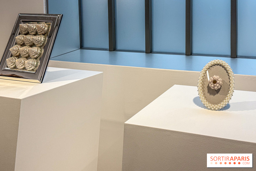 Hélène Fauquet : Vivresse, l’exposition entre bulles et coquillages à Lafayette Anticipations.